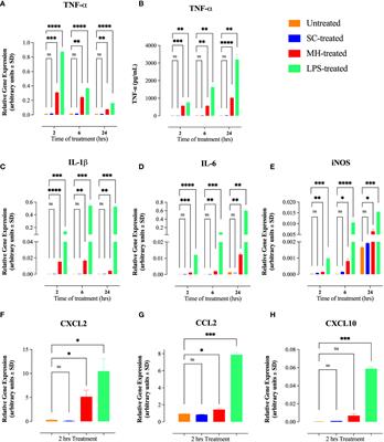 Characterization of immunomodulatory responses induced by manuka honey